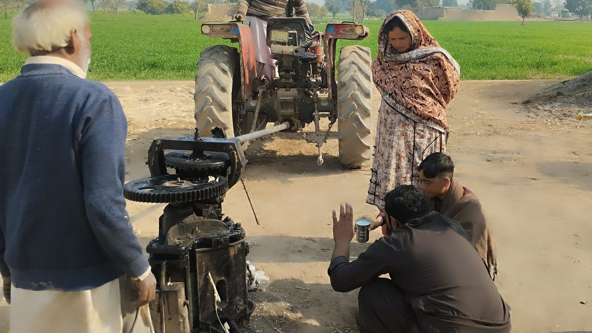 Nudrat Aisha Akram is observing the farmers' work