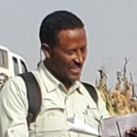Moti DEBELLO