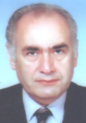El-Beltagy, Adel El Sayed Tawfik