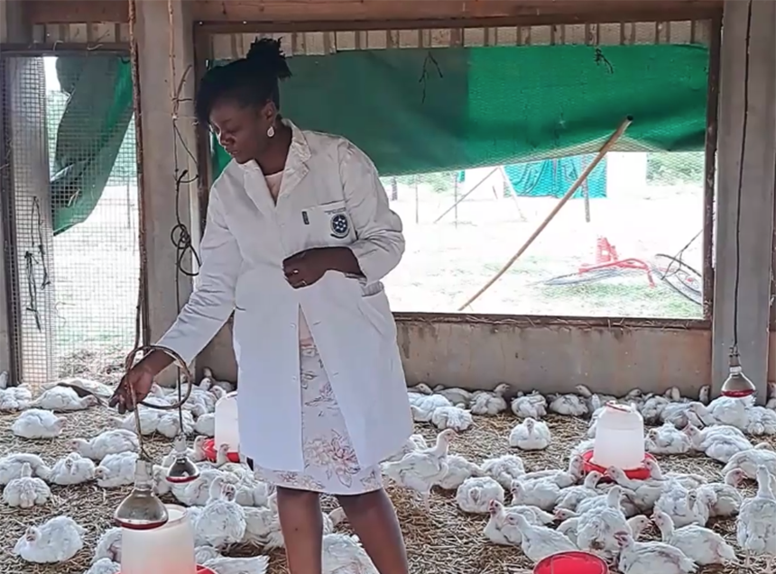 Zimbabwean industrial engineer Zviemurwi and 2023 project grantee Johnny Chihambakwe among chickens related to her biogas project. [Image provided]