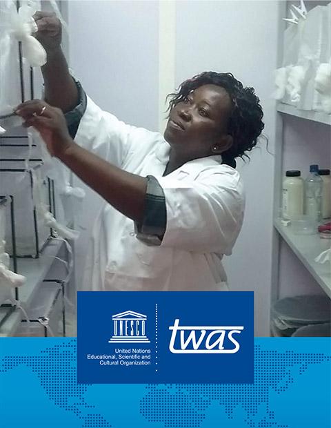 twas-brochure-ita-2022.jpg twas-brochure-ita-2022.jpg